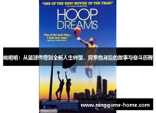 姚明明：从篮球传奇到全新人生转型，探索他背后的故事与奋斗历程