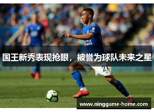 国王新秀表现抢眼，被誉为球队未来之星
